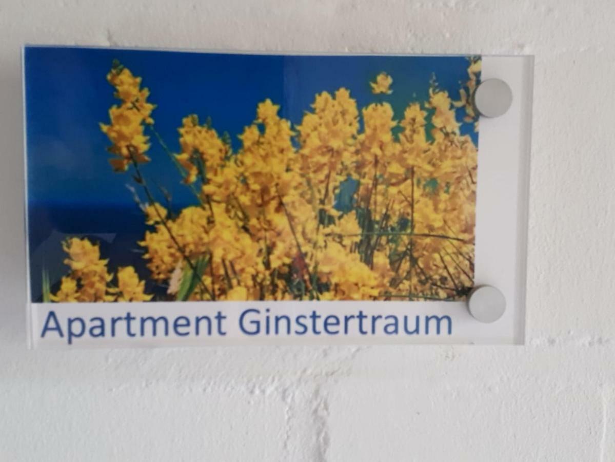 Appartement Ginstertraum *